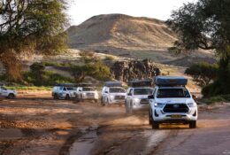 Namibia_April_2025 (58/79)